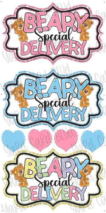 Beary Special Delivery Splash Set