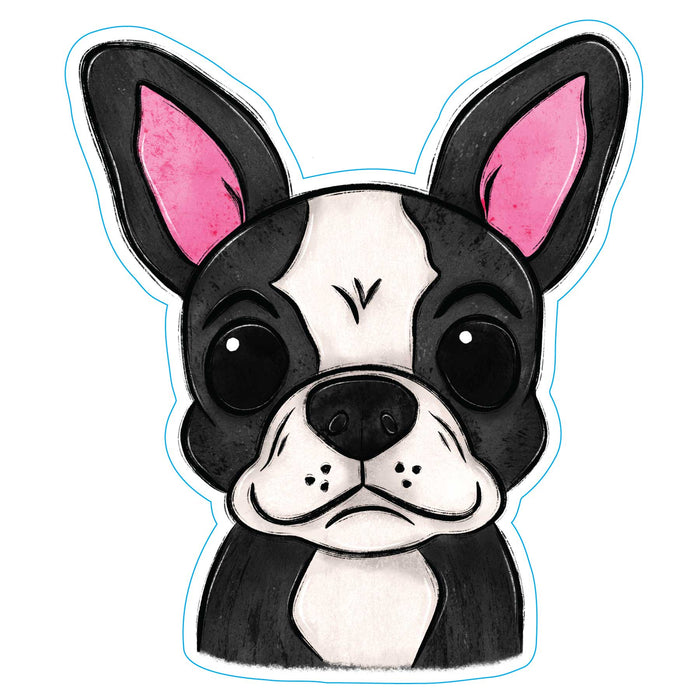 Boston Terrier