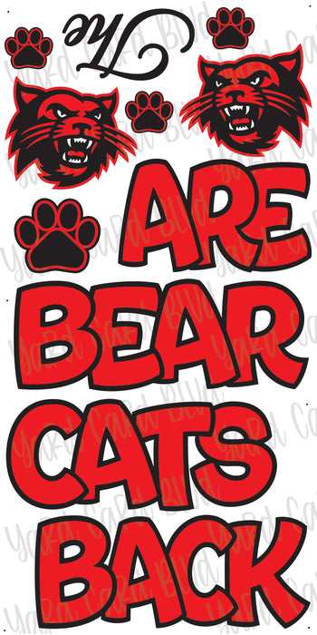 The Bearcats Are Back