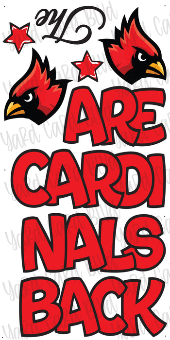 The Cardinals Are Back