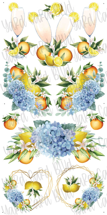 Hydrangeas, Citrus and Mimosas