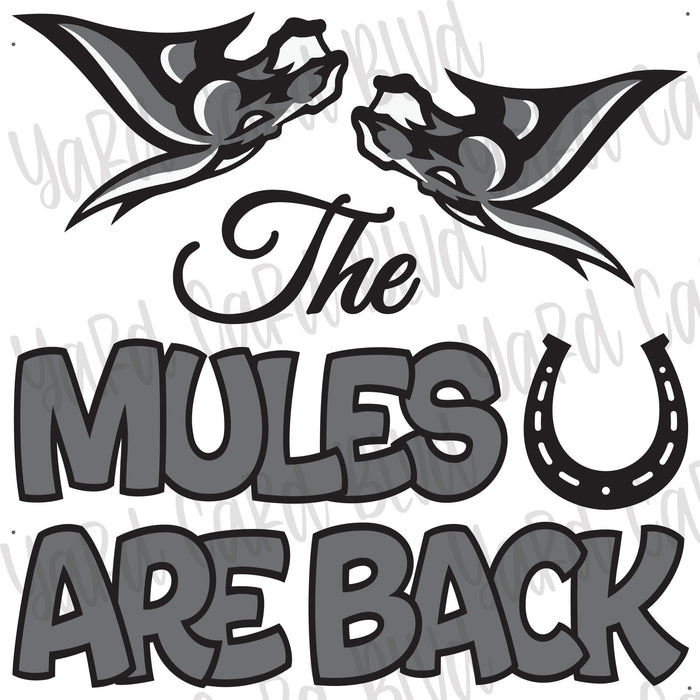 The Mules Are Back Half Sheet