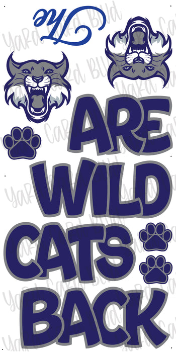 The Wildcats Are Back